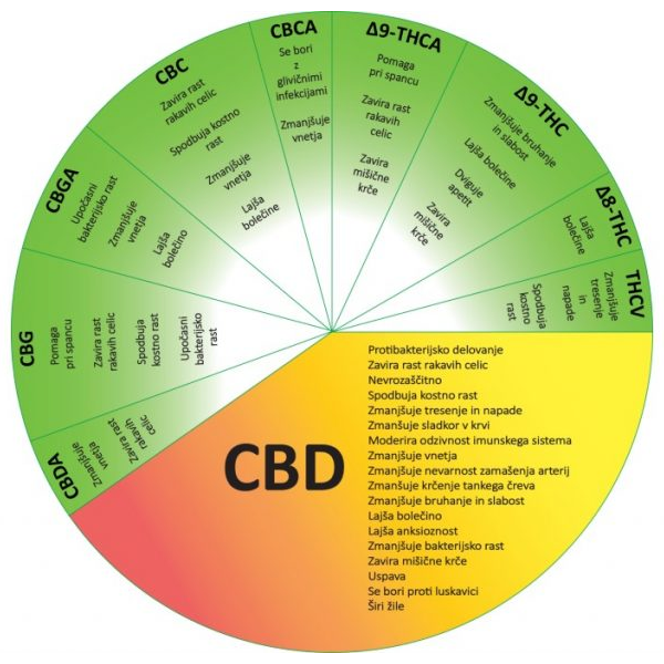 CBD kapljice Hempethica