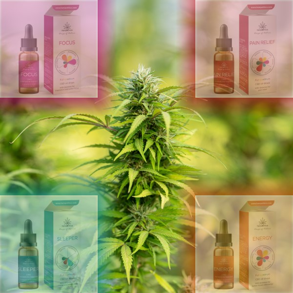 Konoplja, CBD Blog, Hempethica, WidLab, Certifikati, Vegan, CBD, Kababinoidi, Blog