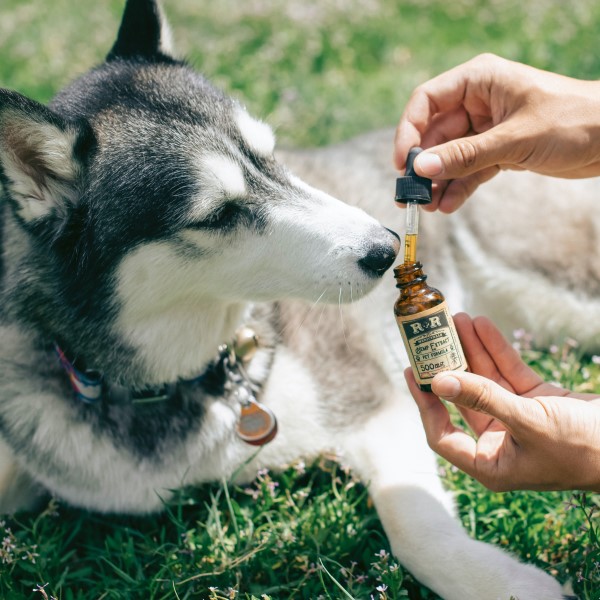 CBD za pse, CBD za mačke, CBD za živali, Certificirani produkti Hempethica, WidLab, Certifikati, Vegan, CBD, CBD za živali, CBD for pets, Energy, Pain Relief, Lajšanje bolečin