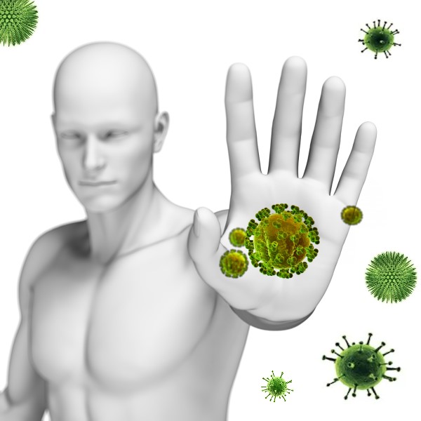 Imunski sistem, Cannabinoids, Immune system, CBD, Cannabis, Hempethica