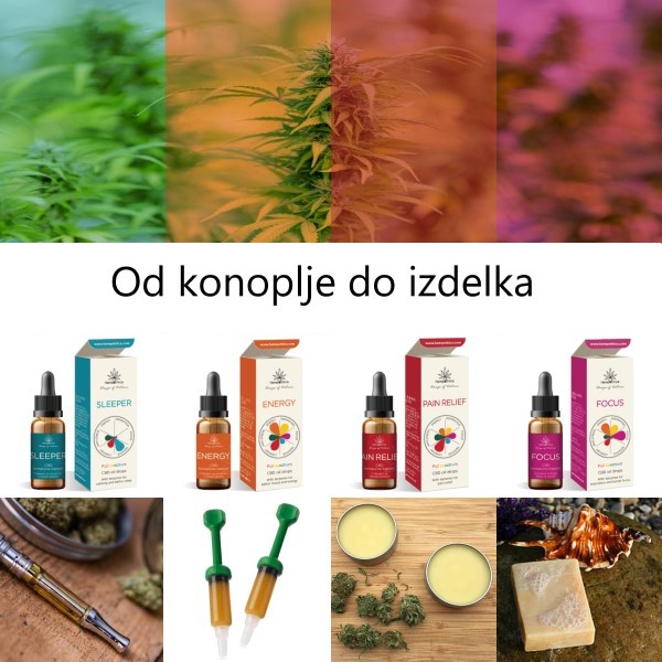 Predelava konoplje