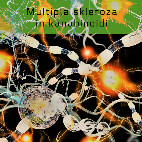 Multipla skleroza, Multiple Sclerosis, Cannabinoids, CBD, Hempethica